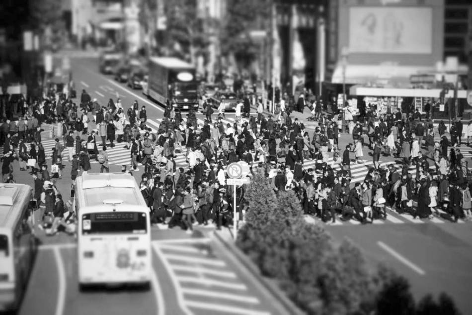 Vue plongeante sur une avenue urbaine traversée par la foule